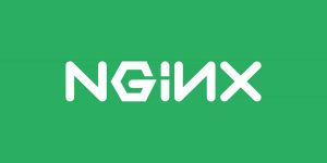 NGINX for Altoona PA Web Design